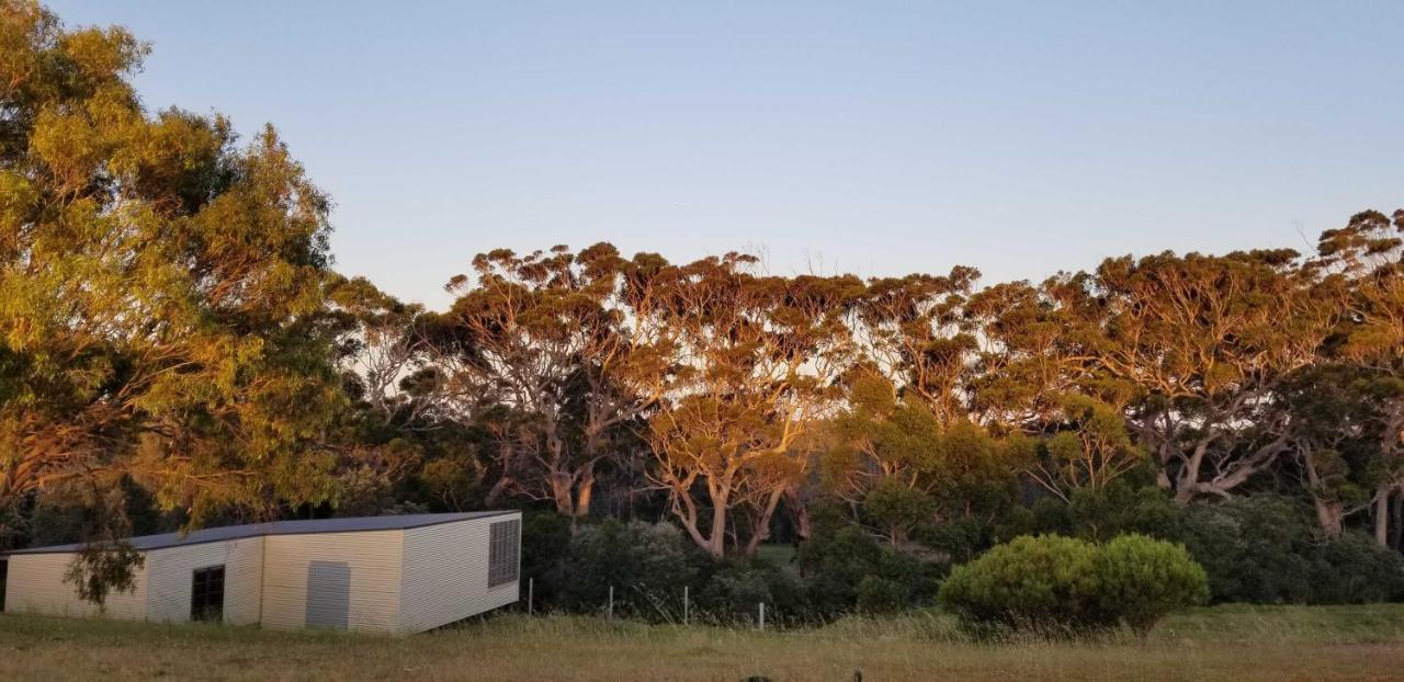فيلا Karriview Margaret River المظهر الخارجي الصورة