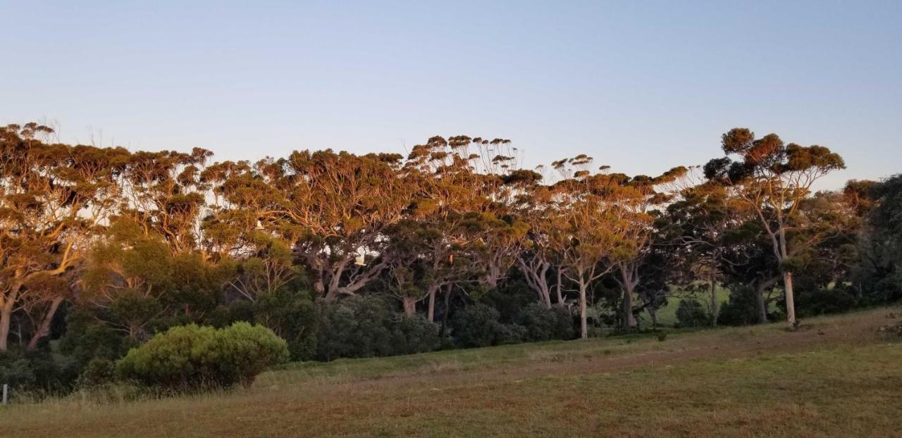 فيلا Karriview Margaret River المظهر الخارجي الصورة