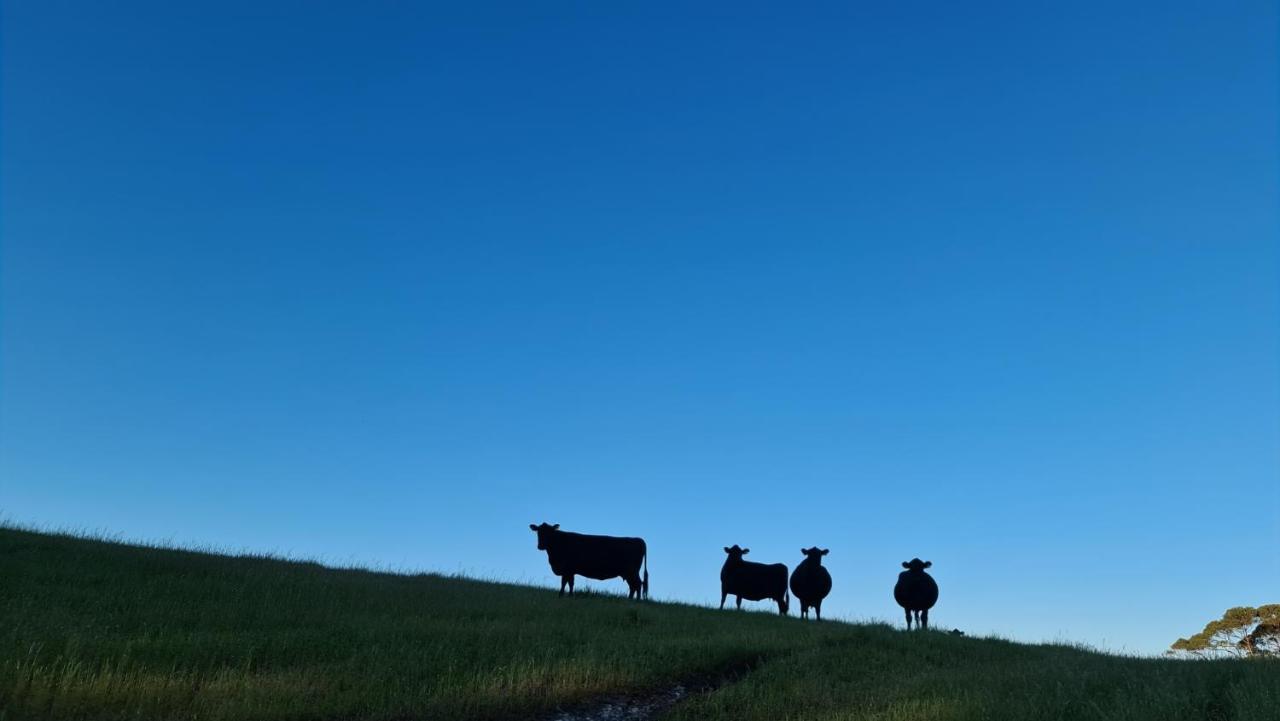 فيلا Karriview Margaret River المظهر الخارجي الصورة