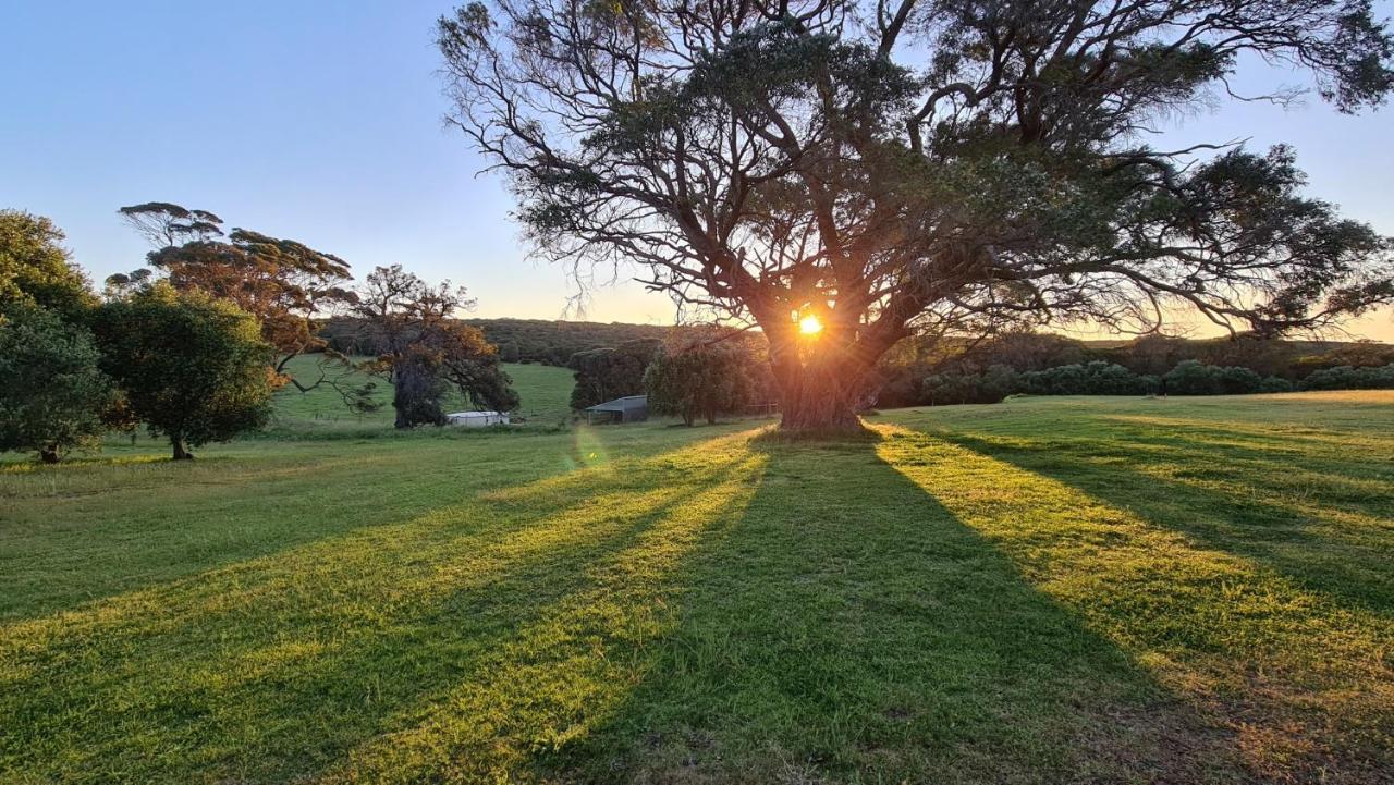 فيلا Karriview Margaret River المظهر الخارجي الصورة