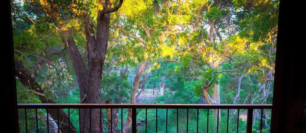 فيلا Karriview Margaret River المظهر الخارجي الصورة